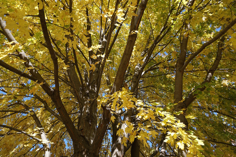 Illustration for article titled 48 Photos Of Autumn Around The World